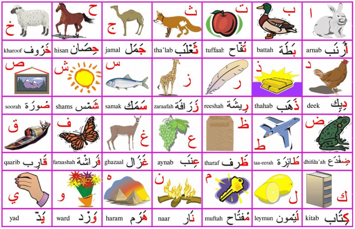 Beginners Arabic Letters 