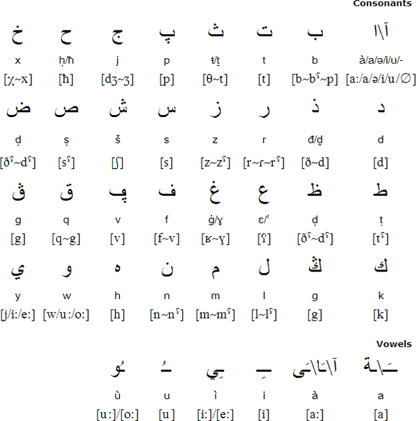 Save Beginners Arabic Letters Chart