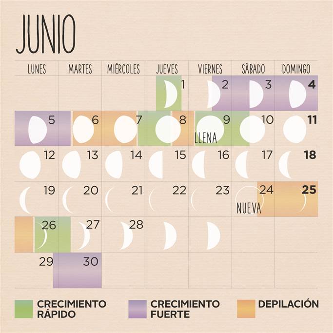 Free June 2017 Calendar Spanish