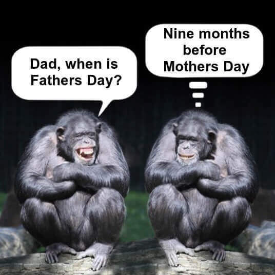 Happy Fathers Day Jokes Picture