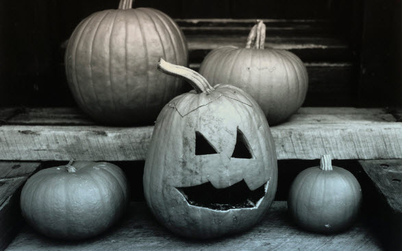 Free Halloween Pictures to Download 