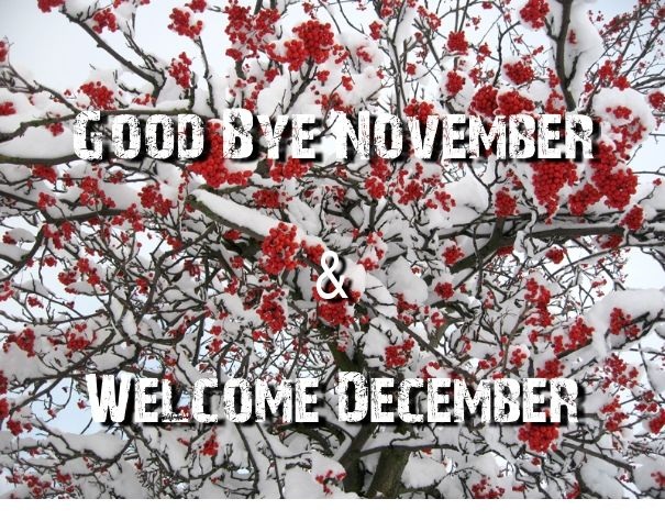 Goodbye November Hello December Images, Quotes