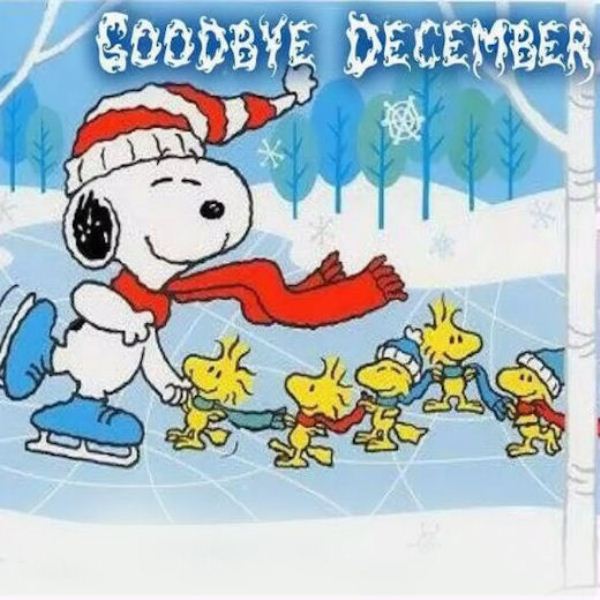 Goodbye December Quotes