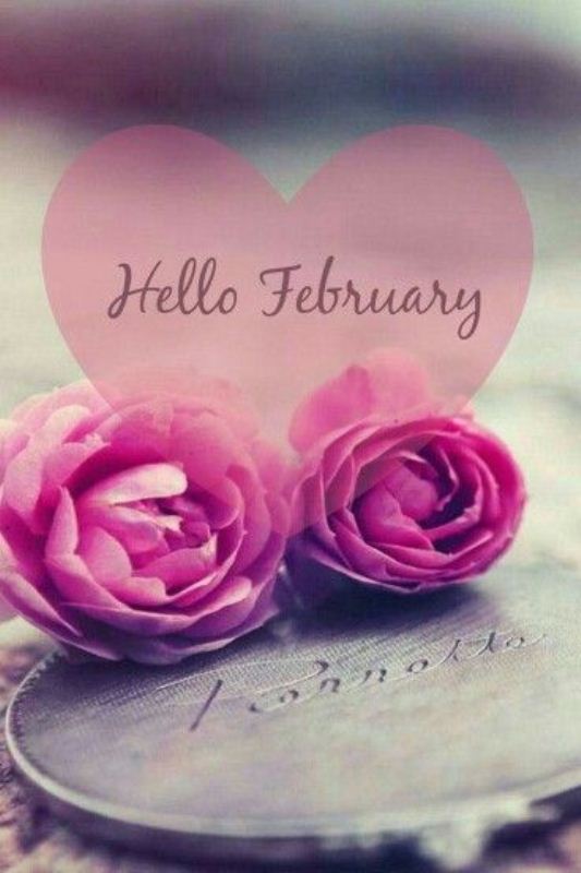 Hello February Cute Pictures
