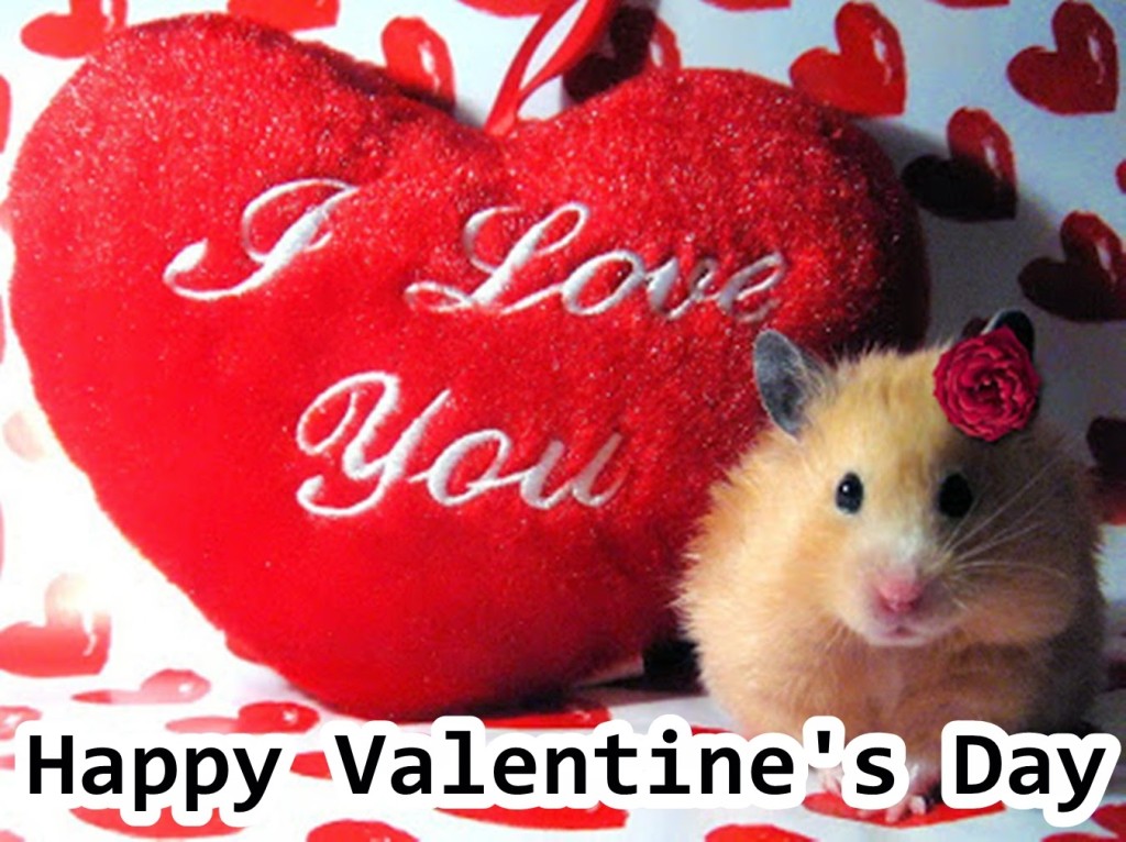 Valentine's Day Shayari For Girlfriend