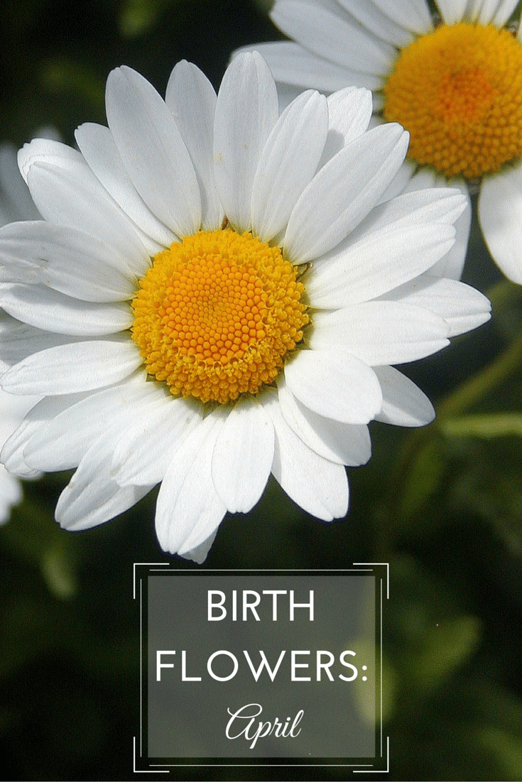 April Birth Flower