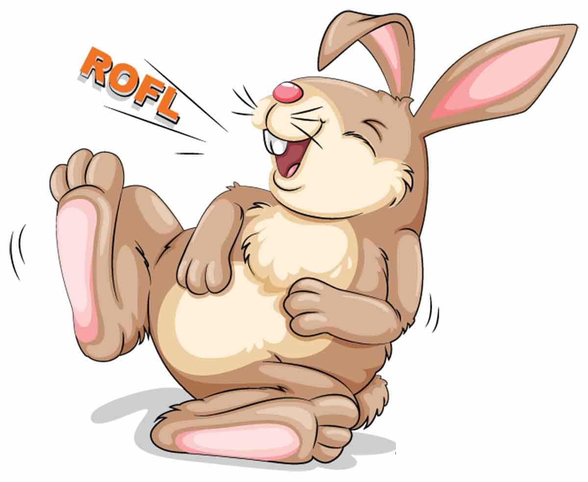 Easter Bunny Jokes