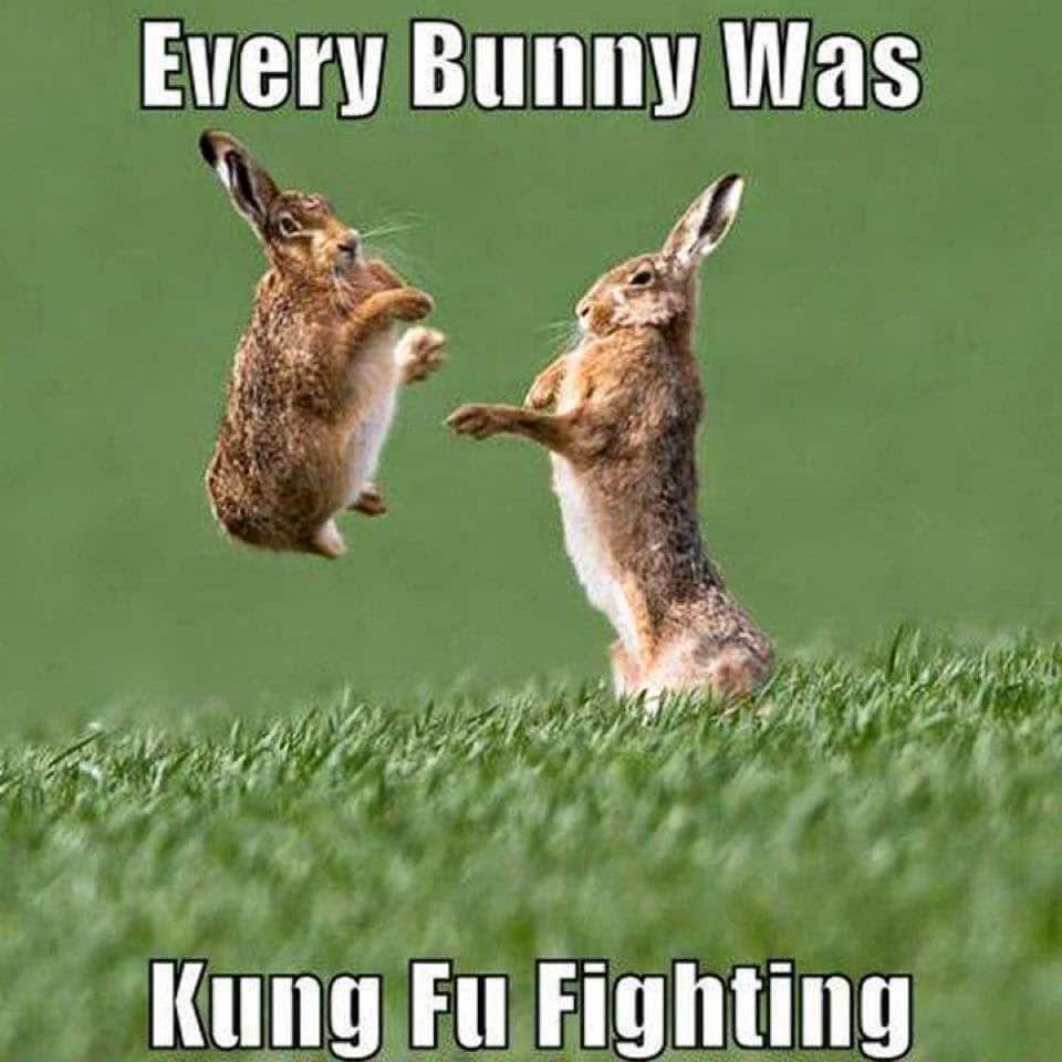easter bunny memes