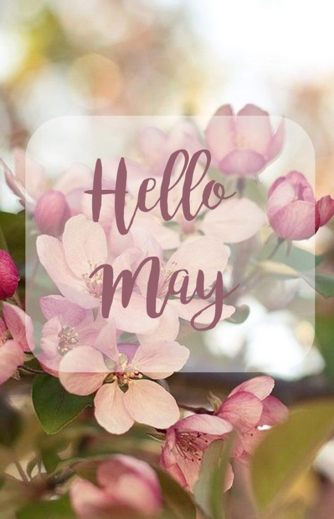 Hello May Images , Pictures And Wallpaper | Oppidan Library