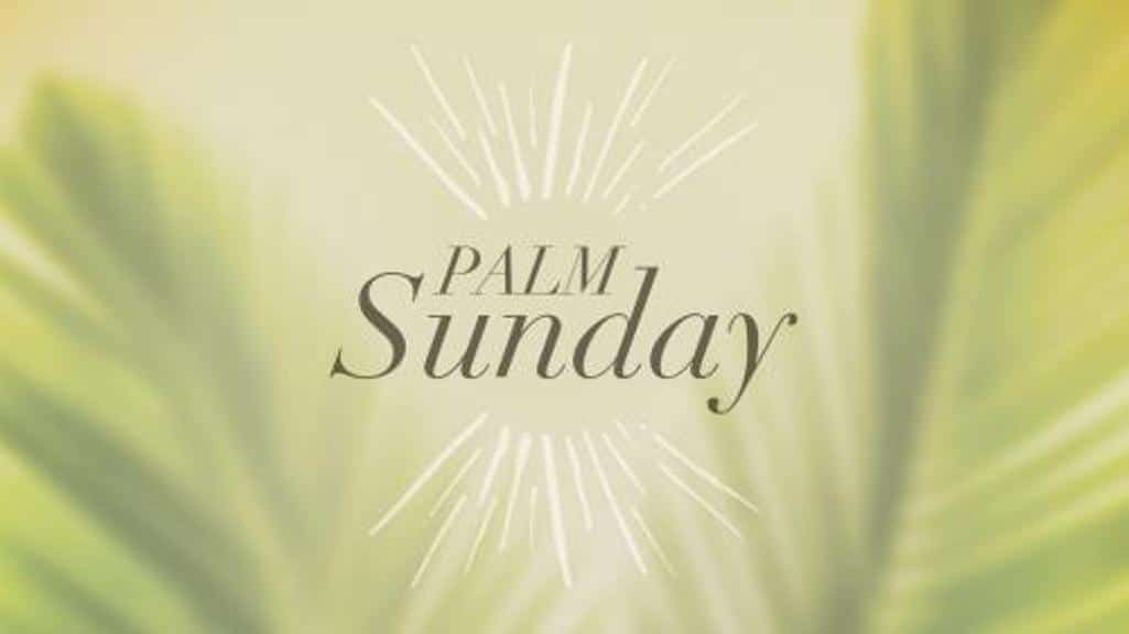 Palm Sunday Thoughts