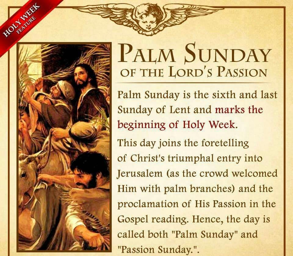 Palm Sunday Blessed Palm Prayer | Oppidan Library