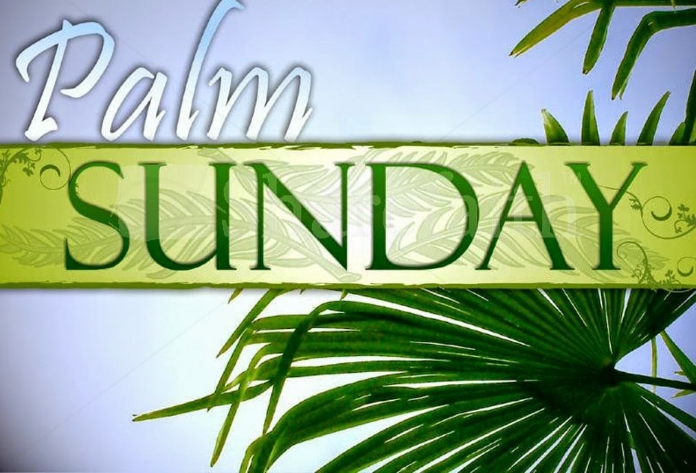 Palm Sunday Lesson