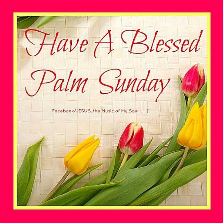 Palm Sunday Quotes Cards Oppidan Library