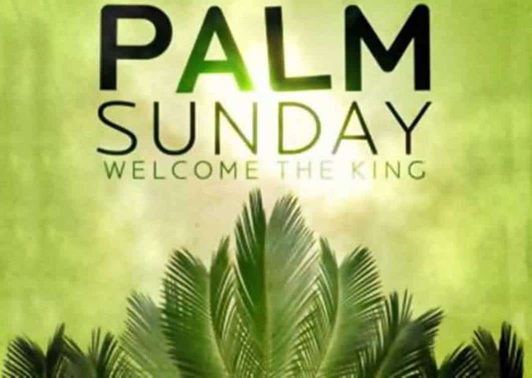 Palm Sunday Cards
