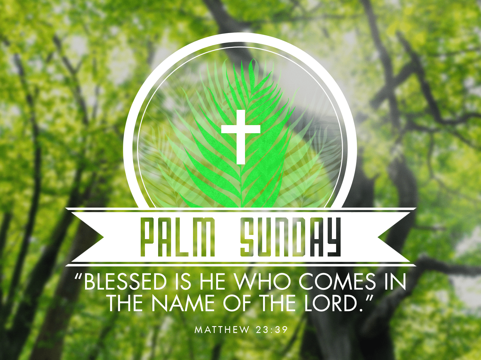 images-of-sunday-happy-palm-sunday-wallpaper-palm-sunday-quotes