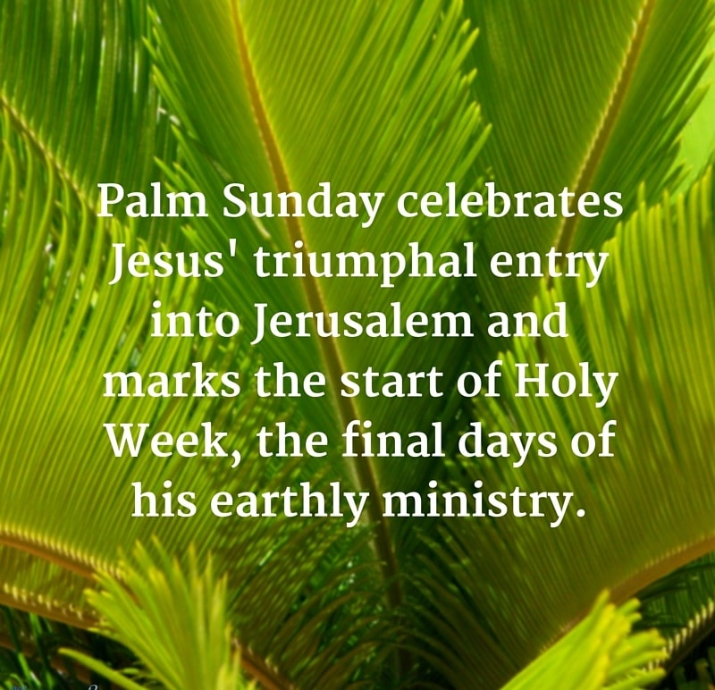 palm-sunday-wallpapers-hd-wallpapers