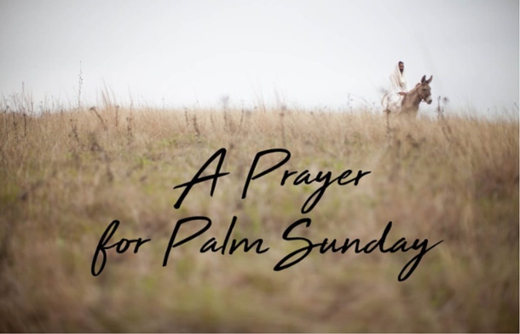 Palm Sunday Thoughts