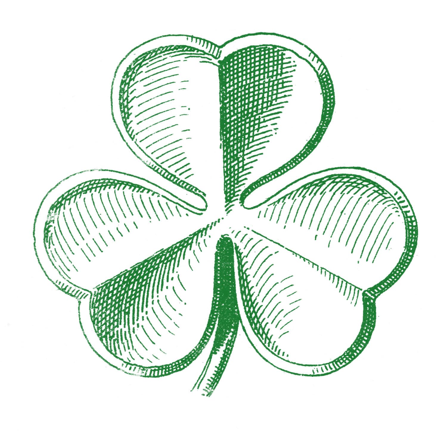 St.Patrick's Day Shamrock Clipart