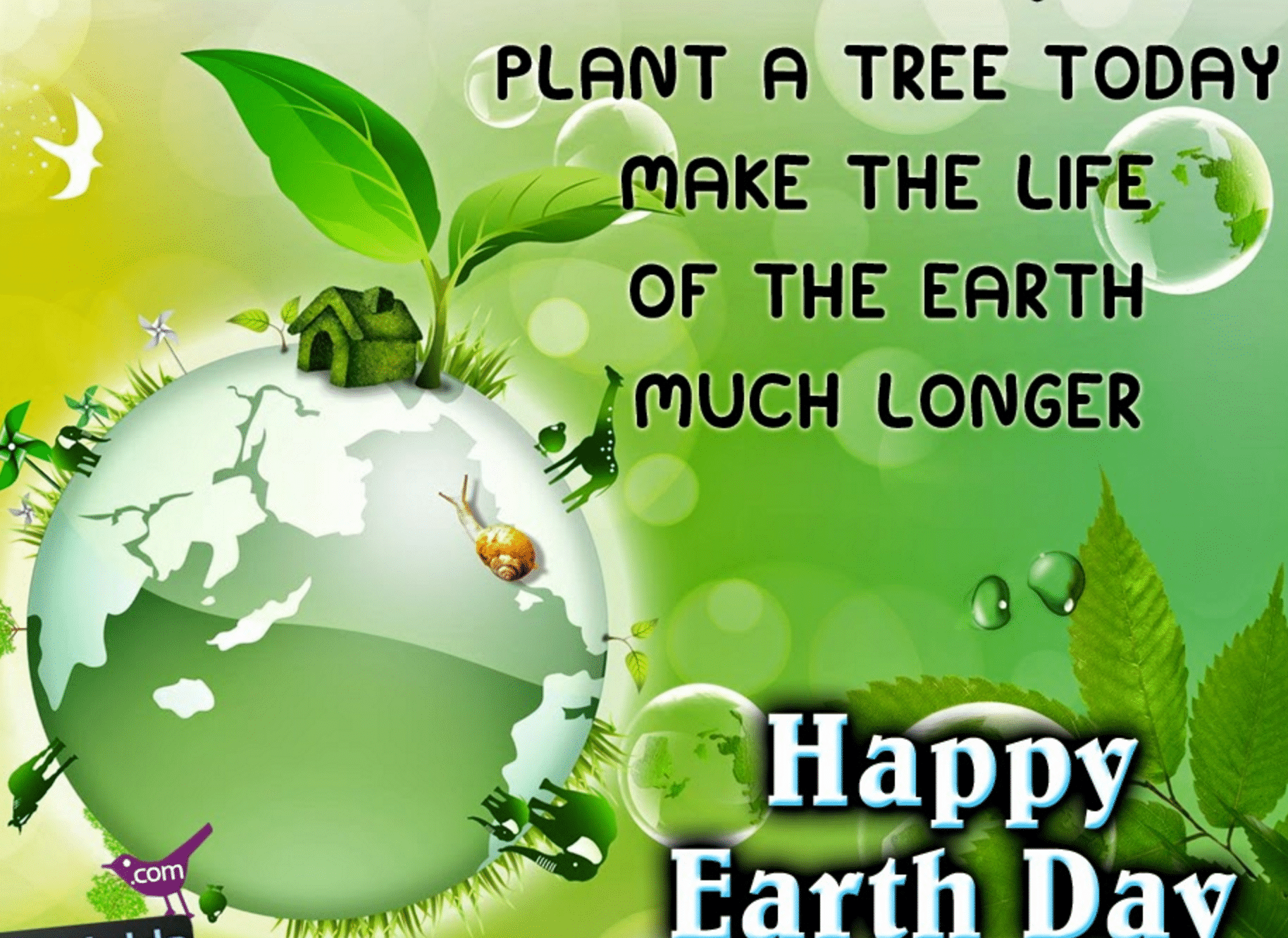 Earth Day Essay