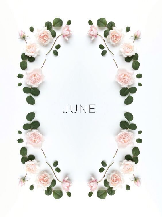Hello June Quotes 