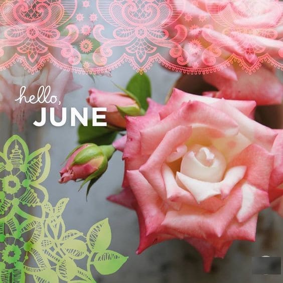 Hello June Quotes 