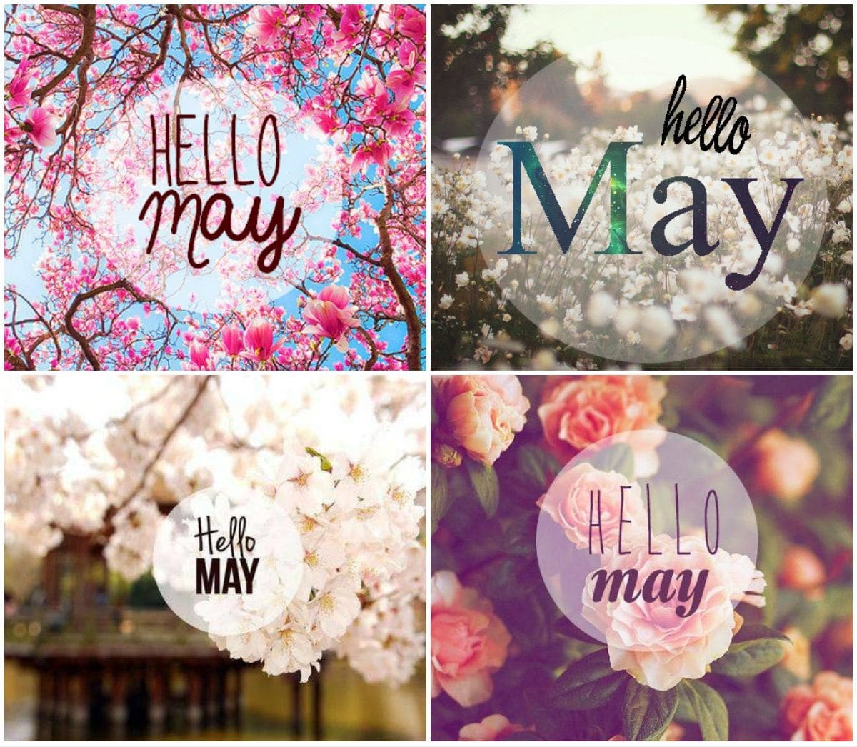 Hello May Quotes For Tumblr Printrest And Facebook Oppidan Library