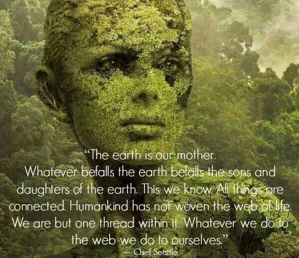 Quotes On Save Earth 