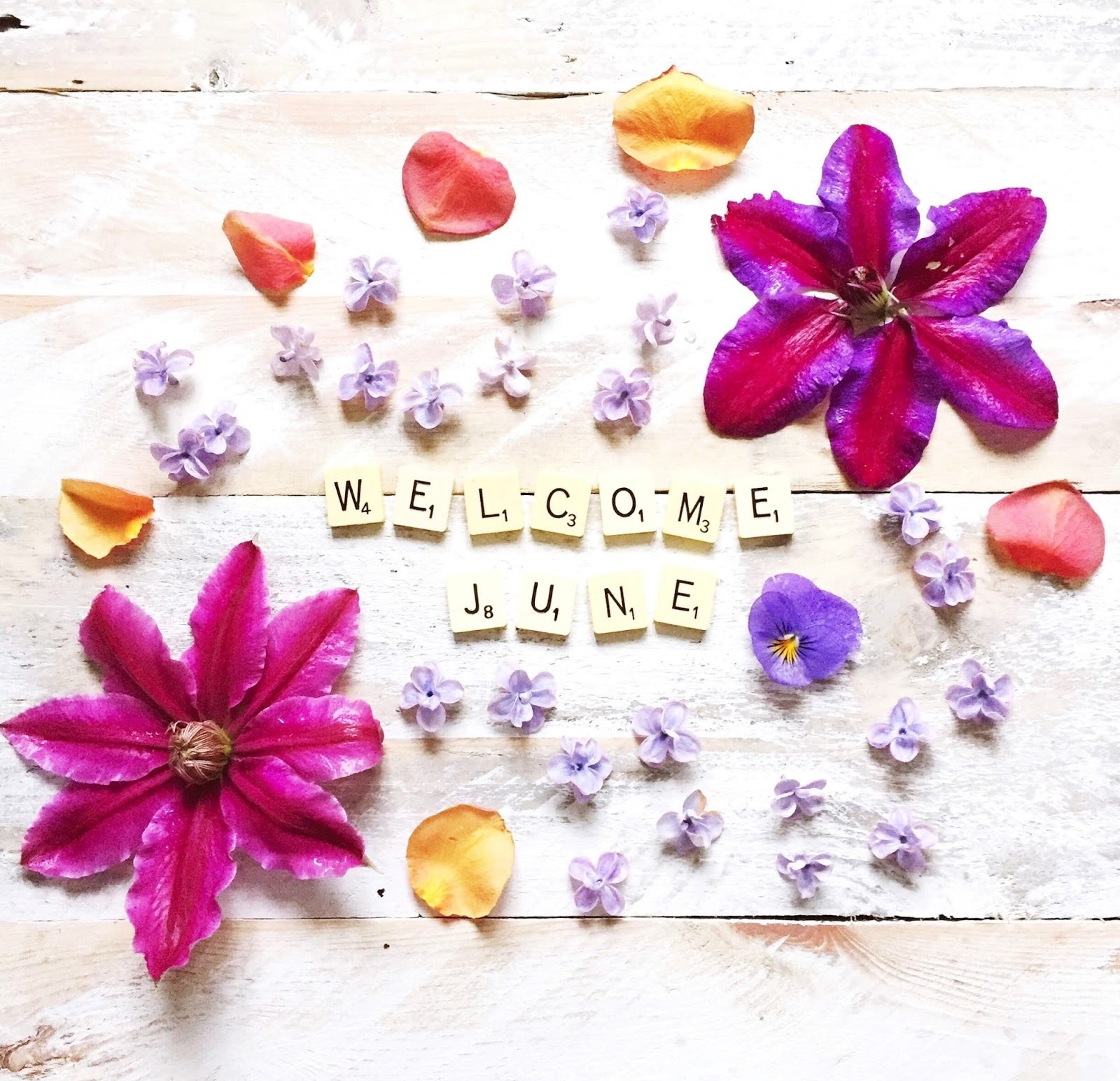 Welcome June Images 