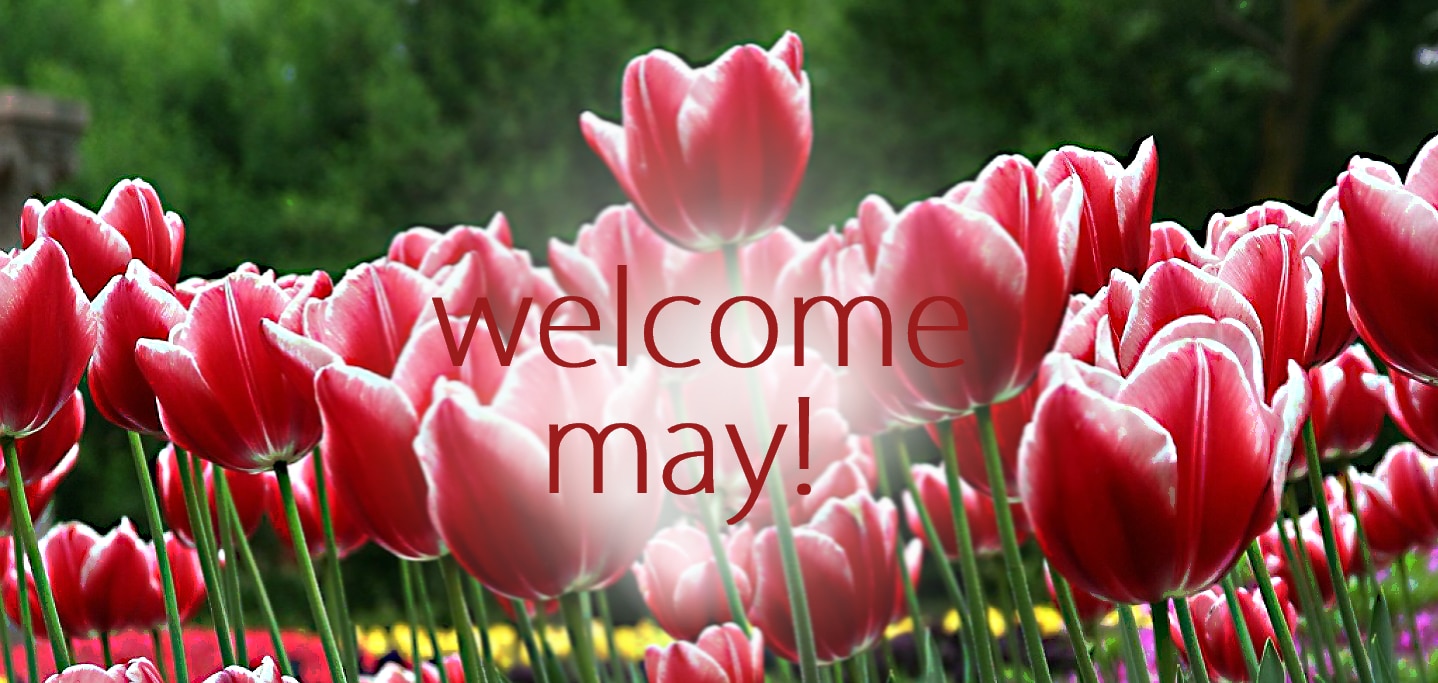 Welcome May Images Floral – Oppidan Library