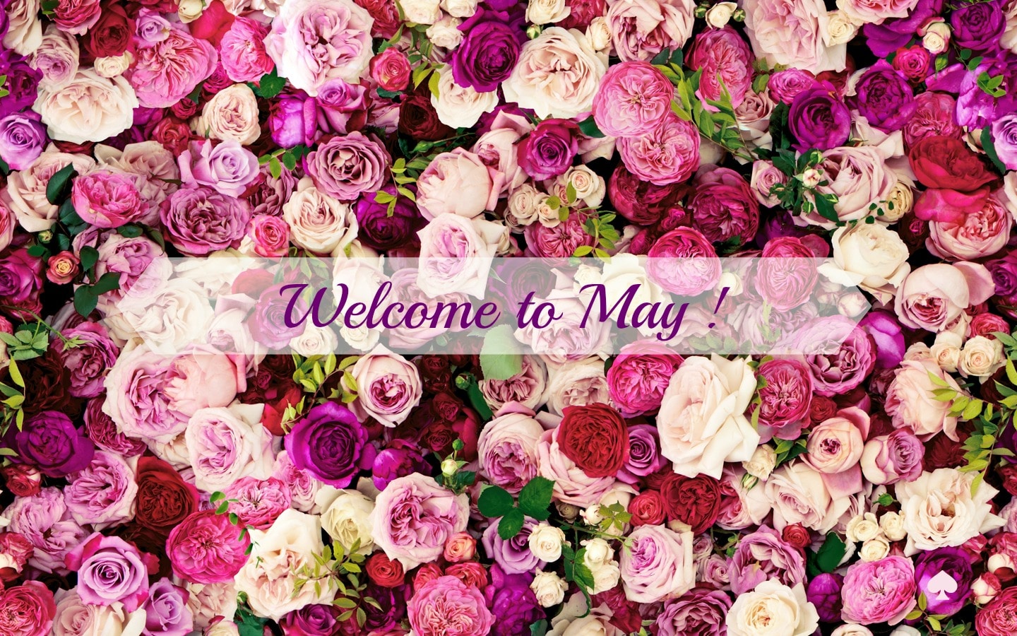 Welcome May Quotes
