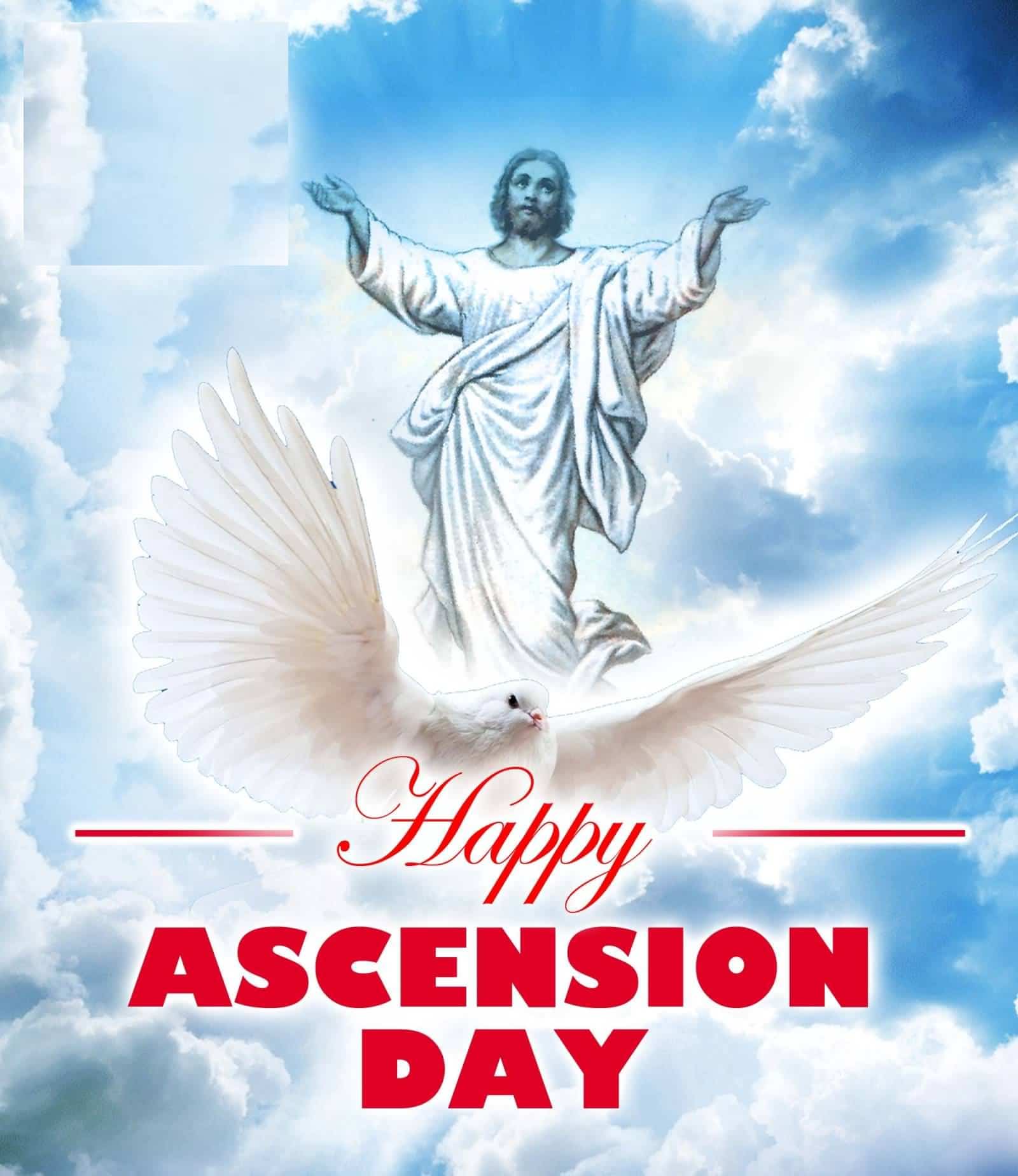 Happy Ascension Day 2018 Sermon 