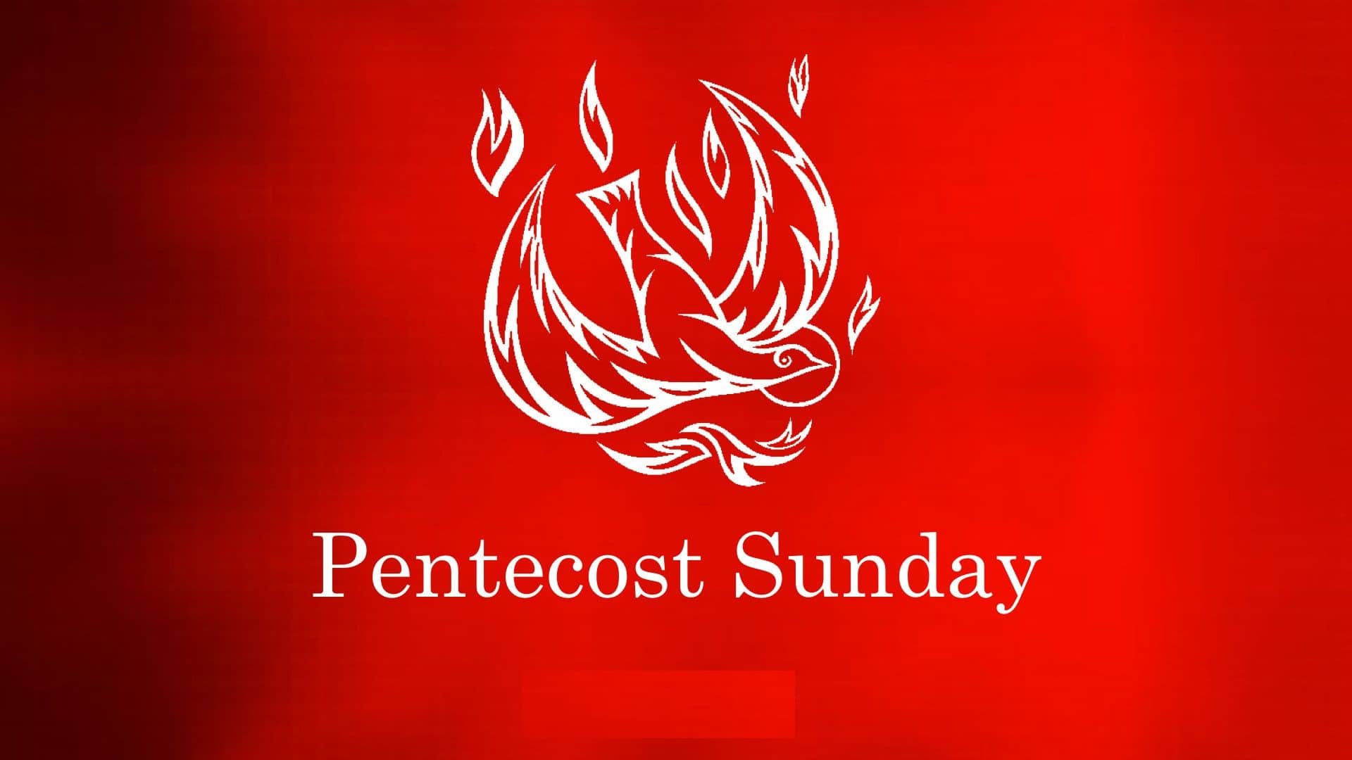 Pentecost Sunday Festival Sermon Oppidan Library