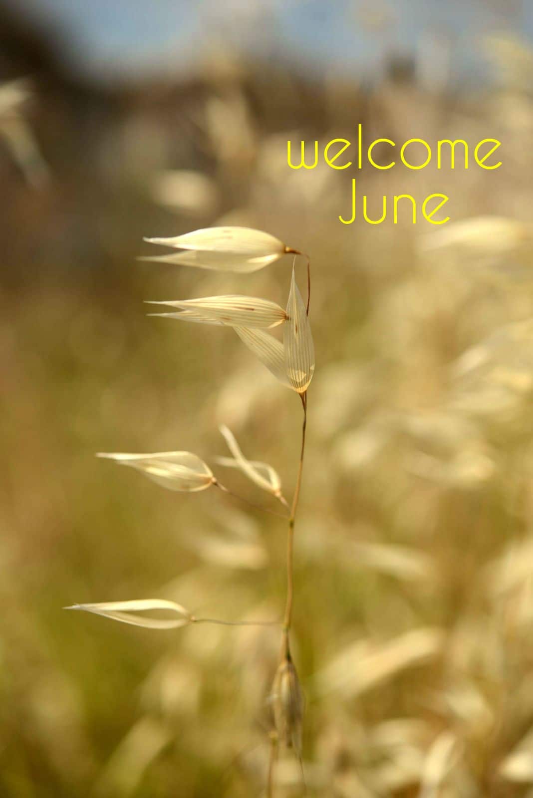  Quotes OF June Month