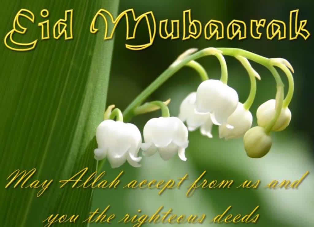 Eid Mubarak Wishes Dua | Oppidan Library