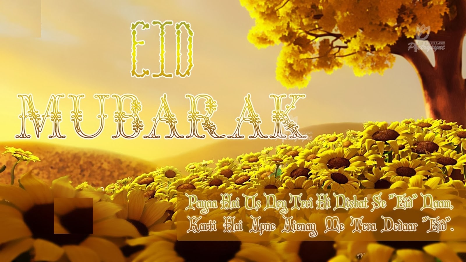 Eid Ul Fitr Wishes