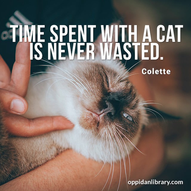 TIME SPENT WITH A CAT IS NEVER WASTED. COLETTE
