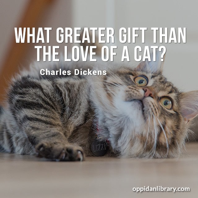WHAT GREATER GIFT THAN THE LOVE OF A CAT? CHARLES DICKENS