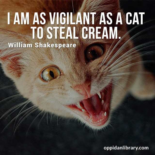 I AM AS VIGILANT AS A CAT TO STEAL CREAM. WILLIAM SHAKESPEARE