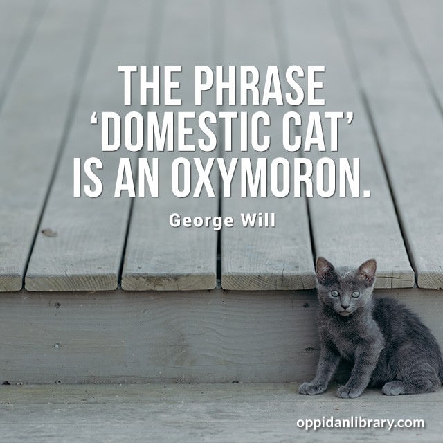 THE PHRASE "DOMESTIC CAT" IS AN OXYMORON. GEORGE WILL