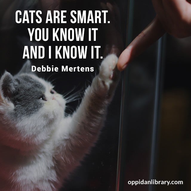 CATS ARE YOU KNOW IT AND I KNOW IT. DEBBIE MERTENS