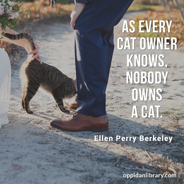 AS EVERY CAT OWNER KNOWS, NOBODY OWNS A CAT. ELLEN PERRY BERKELEY