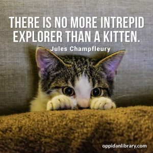 Cat Quote images for Instagram and Whatsapp | Oppidan Library