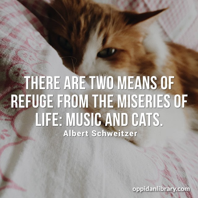 THERE ARE TWO MEANS OF REFUGE FROM THE MISERIES OF LIFE: MUSIC AND CATS. ALBERT SCHWEITZER 