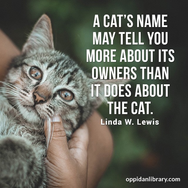 A CAT'S NAME MAY TELL YOU MORE ABOUT ITS MORE ABOUT ITS OWNERS THAN IT DOES ABOUT THE CAT. LINDA W. LEWIS 