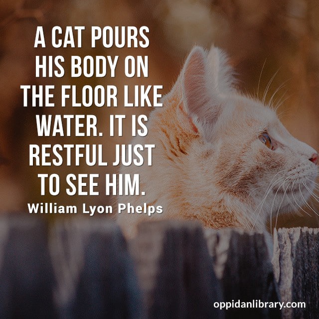 A CAT POURS HIS BODY ON THE FLOOR LIKE WATER. IT IS RESTFUL JUST TO SEE HIM. WILLIAM LYON PHELPS 