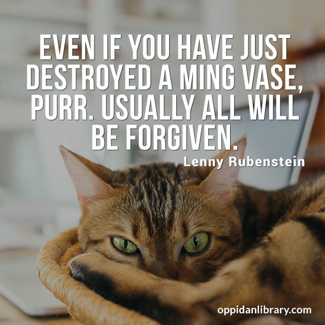EVEN IF YOU HAVE DESTROYED A MING VASE , PURR. USUALLY ALL WILL BE FORGIVEN. LENNY RUBENSTEIN 