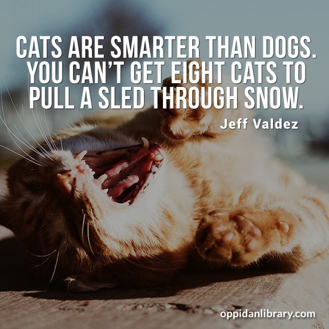 CATS ARE SMARTER THAN DOGS. YOU CAN'T GET EIGHT CATS TO PULL A SLED THROUGH SNOW. JEFF VALDEZ