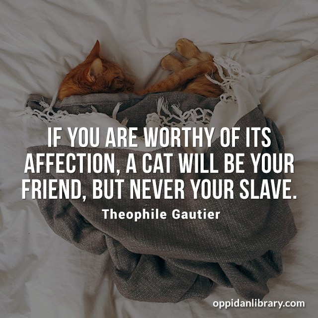 IF YOU ARE WORTHY OF ITS AFFECTION, A CAT WILL BE YOUR FRIEND, BUT NEVER YOUR SLAVE. THEOPHILE GAUTIER