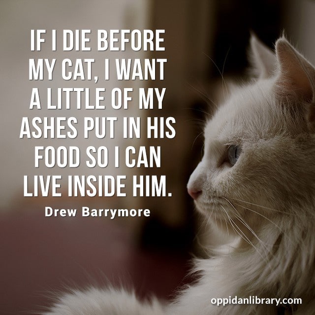 IF I DIE BEFORE MY CAT, I WANT A LITTLE OF MY ASHES PUT IN HIS FOOD SO I CAN LIVE INSIDE HIM DREW BARRYMORE 