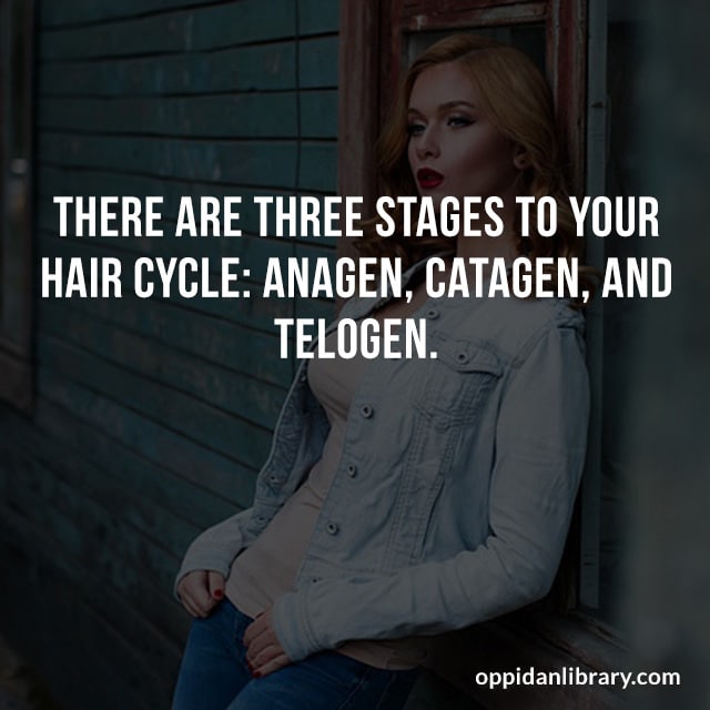THERE ARE THREE STAGES TO YOUR HAIR CYCLE: ANAGEN, CATAGEN, AND TELOGEN. 